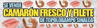 mix_comida camaron fresco y filete - 1.7x0.5mts.jpg